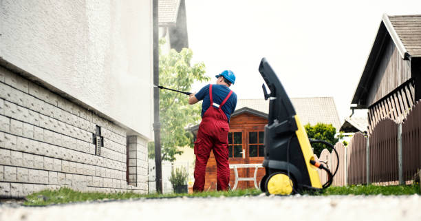 Best Roof Washing  in Ironwood, MI